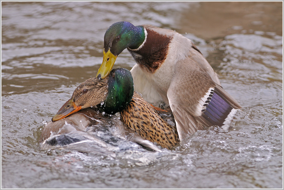 ...und das soll Liebe sein