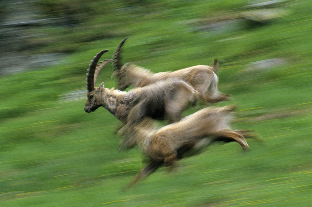Run fast as you can,