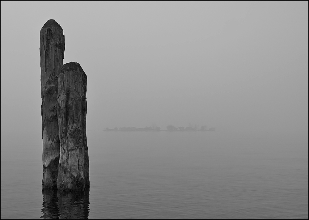 Zweisam im Nebel