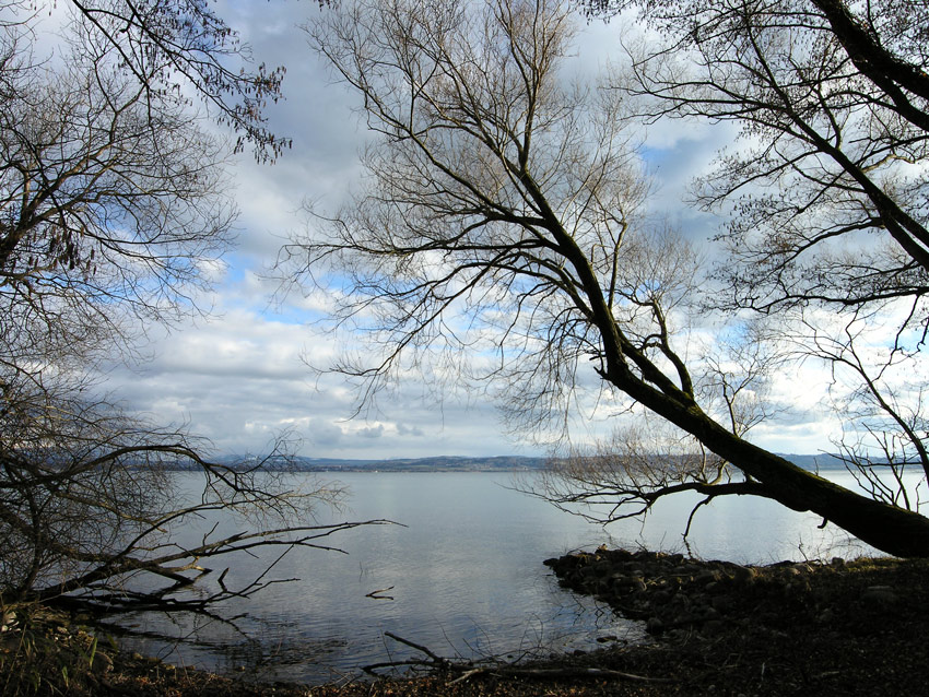 Lac de Neuchâtel 1