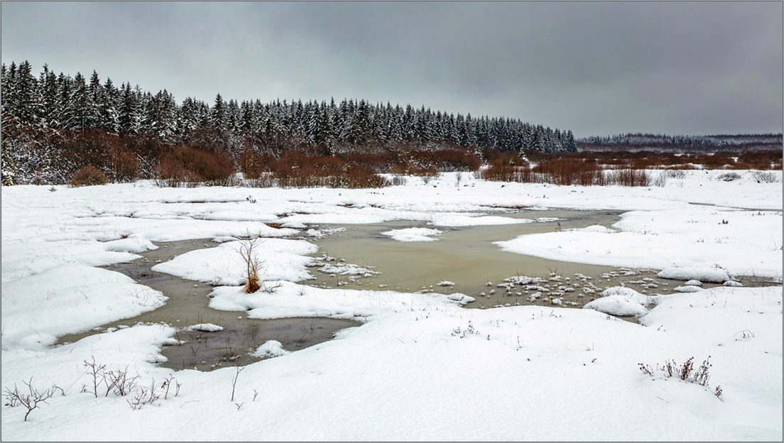 Winter im Venn