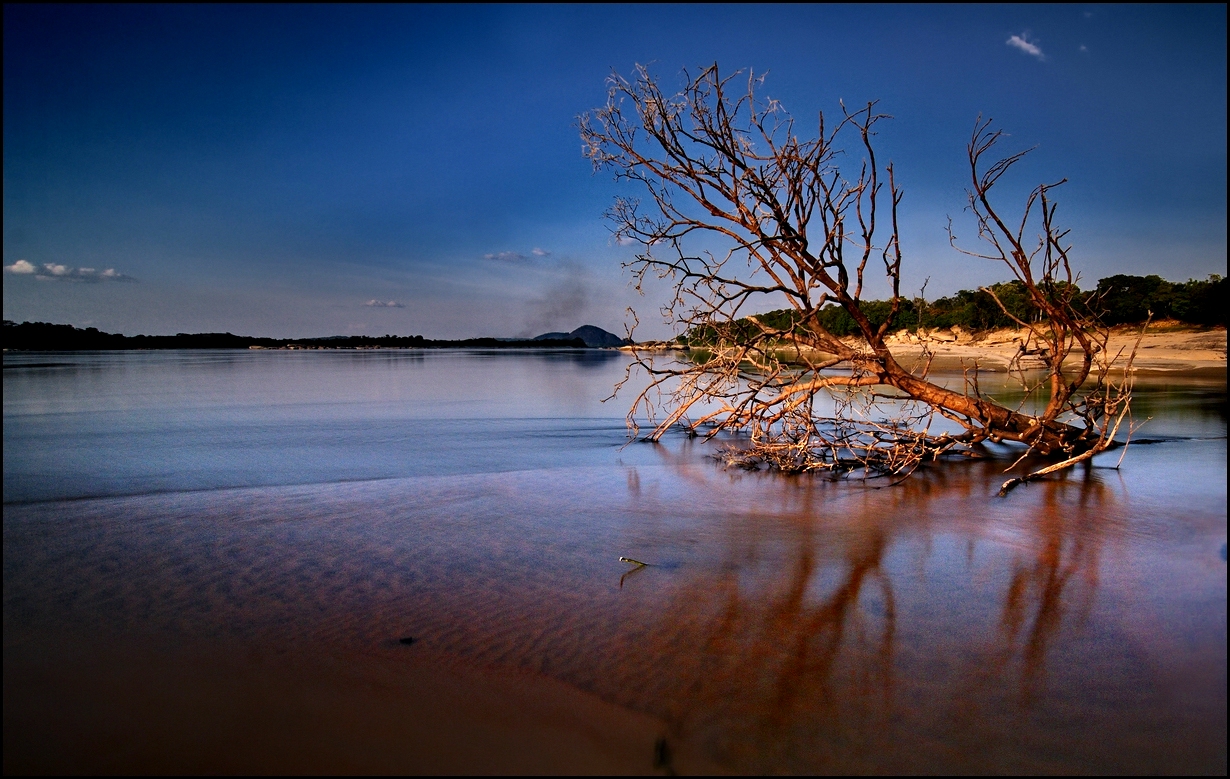 Rio Orinoco (Forum für Naturfotografen)