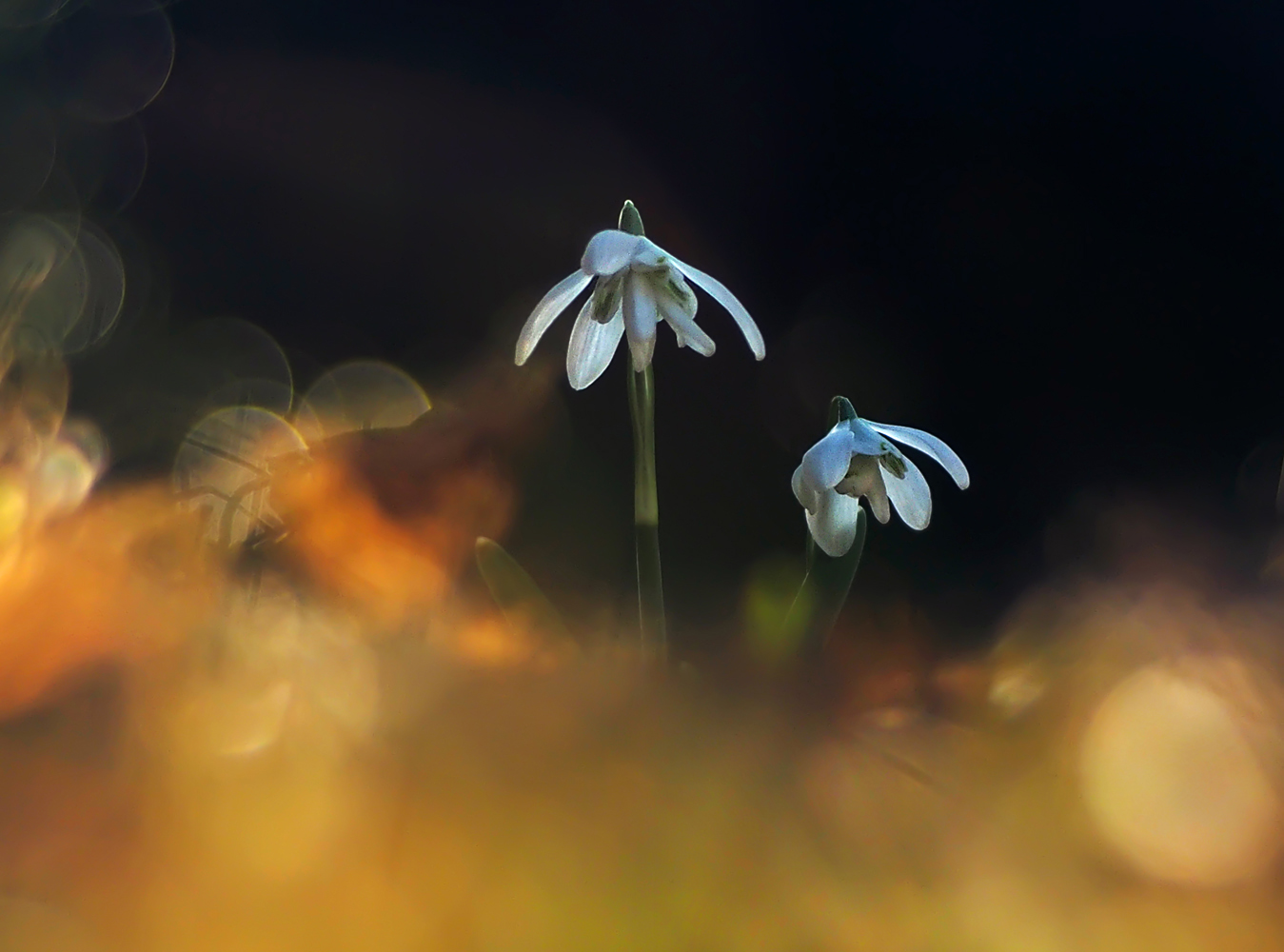 Mitten im Licht