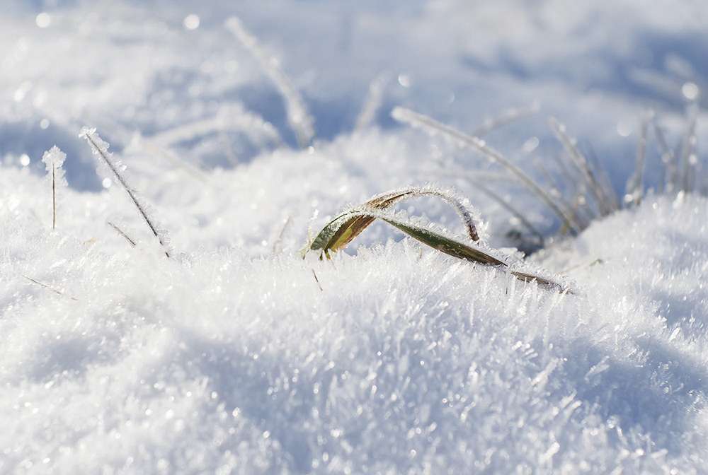 Brrrr, ist das kalt in der Heide.