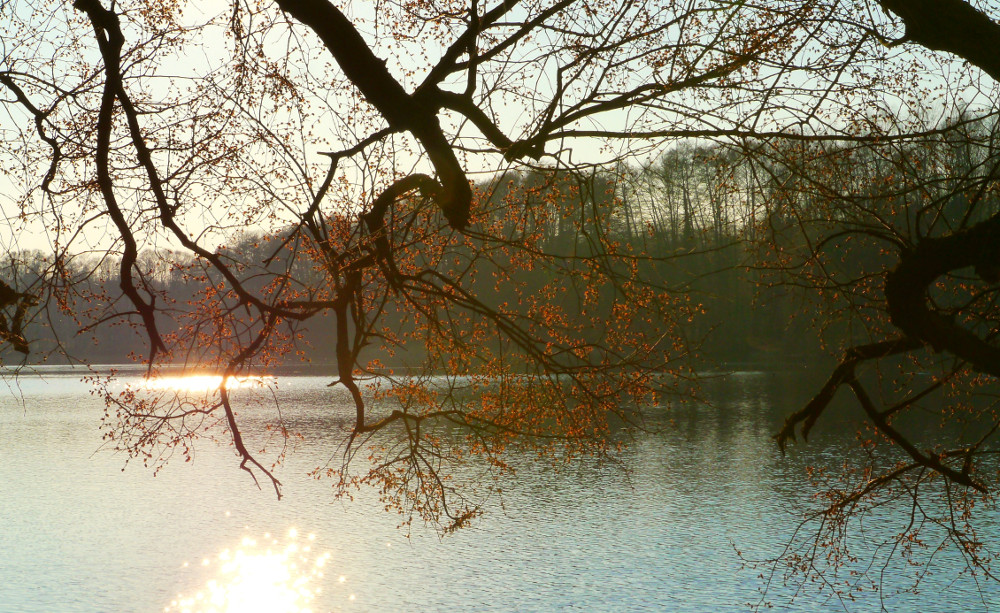 Als wolle der Herbst nicht weichen ...