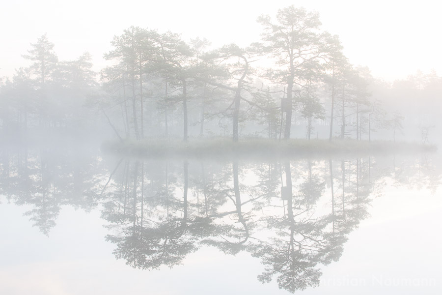 Spiegelung im Nebel