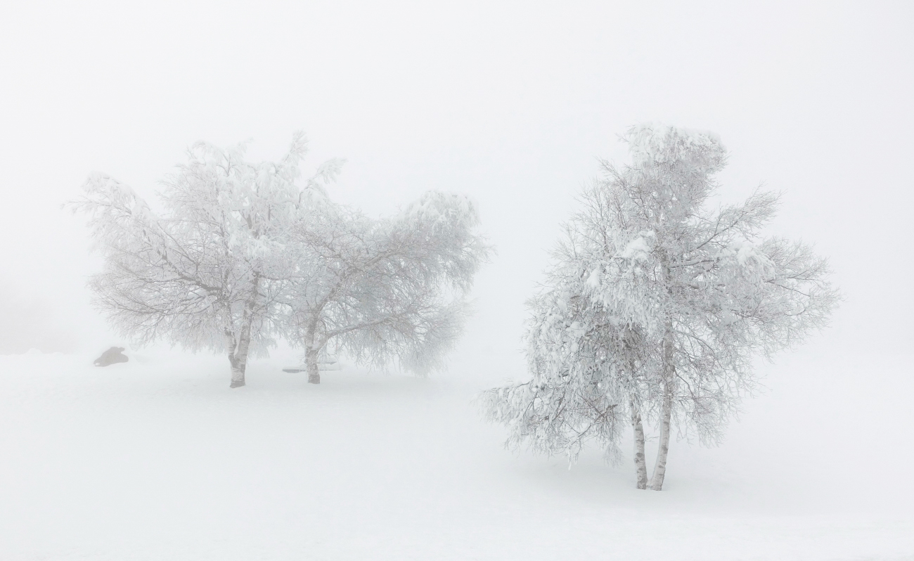 Letztes Winterbild