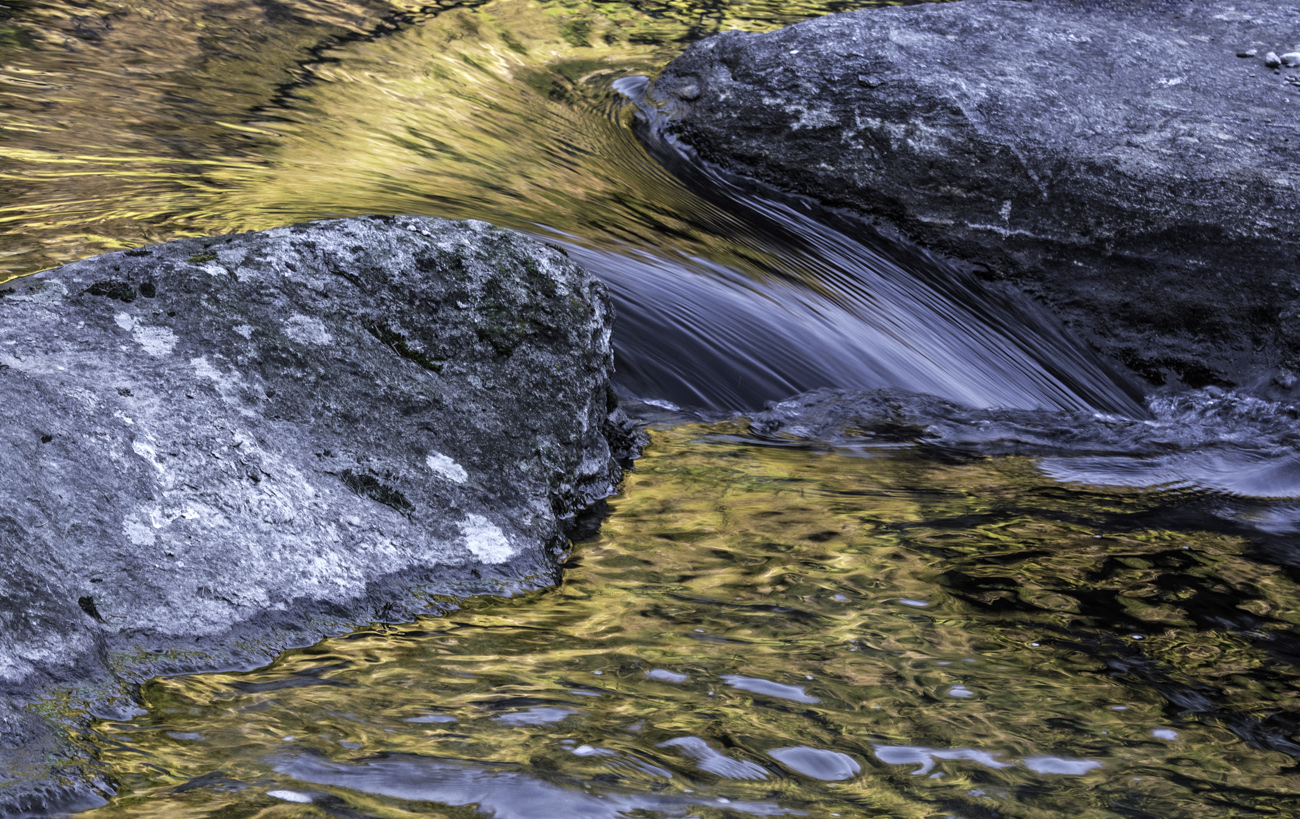 Der Goldbach (Forum für Naturfotografen)