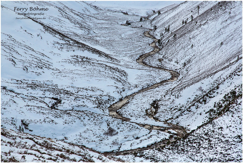 Highland-Winter monochrome