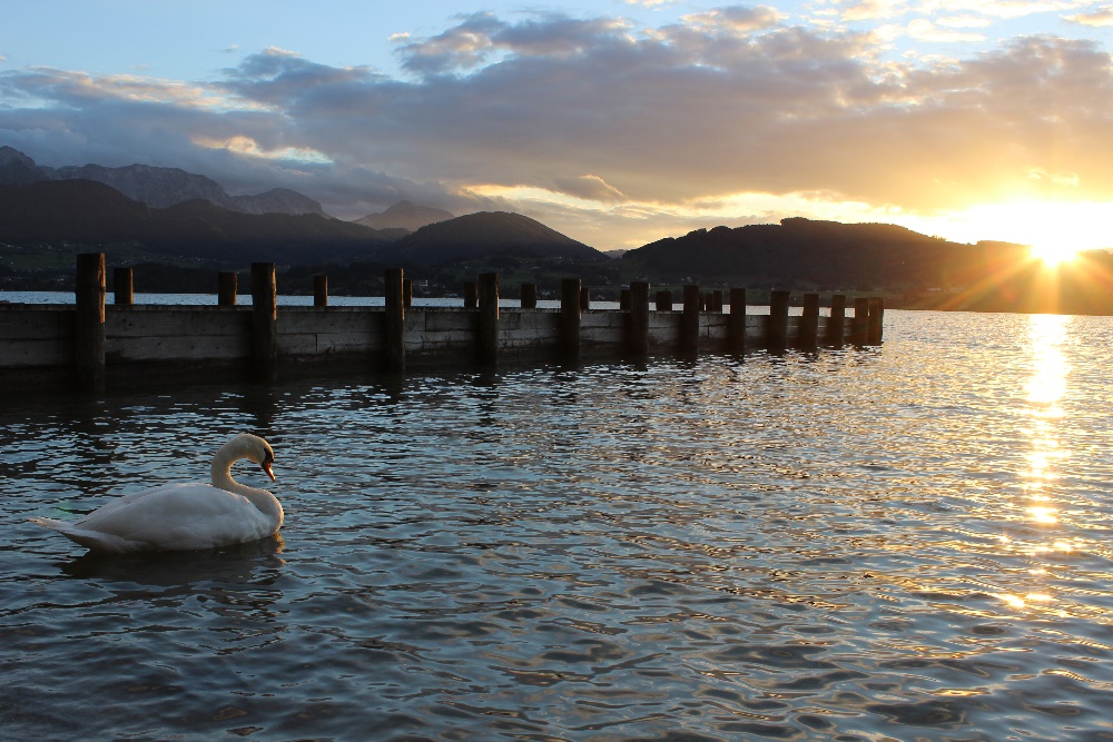 Abends am Traunsee