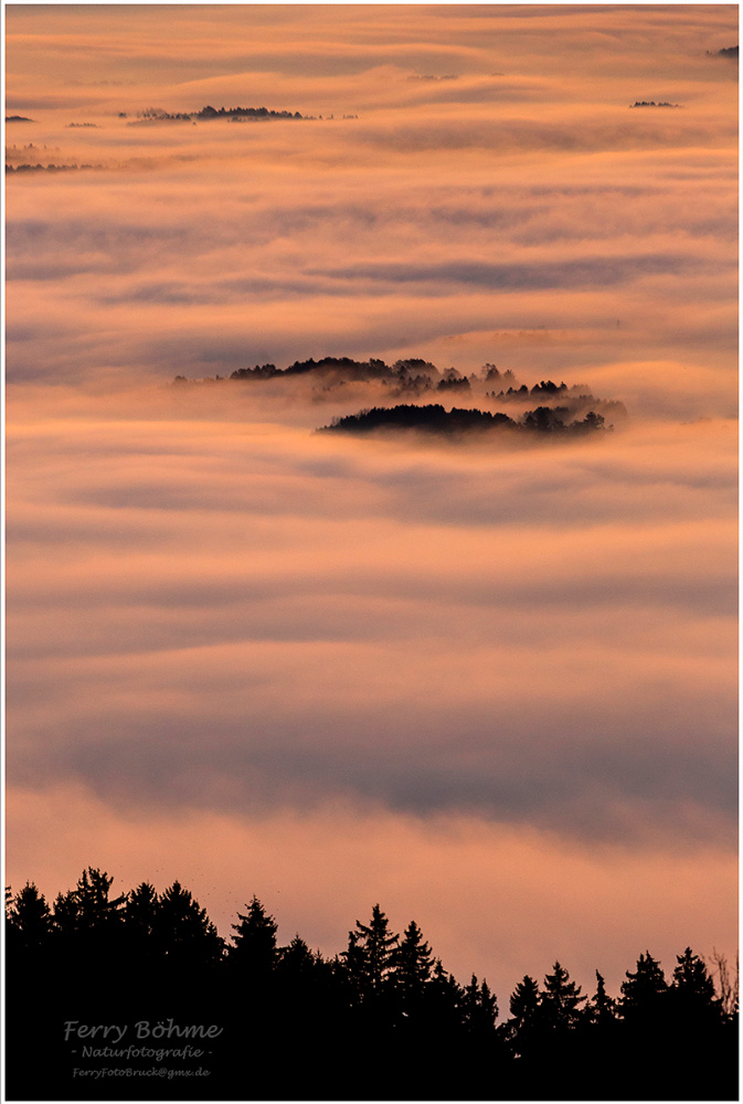 Die Nebel Von Avalon Online Sehen