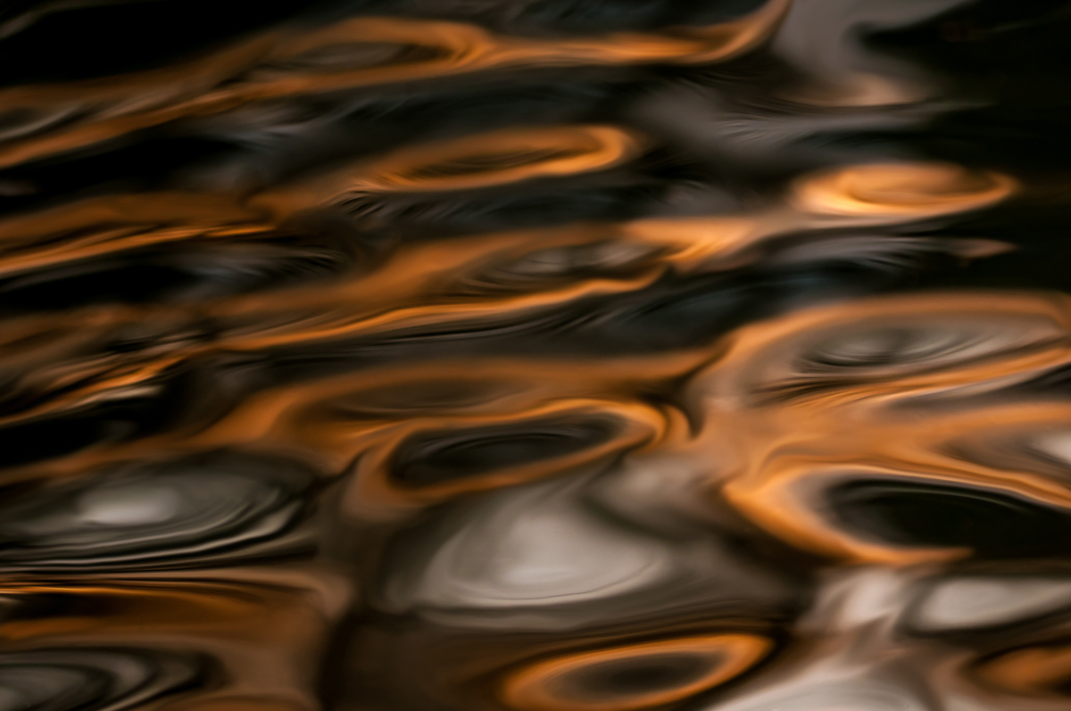 Wasserfarben (Forum für Naturfotografen)