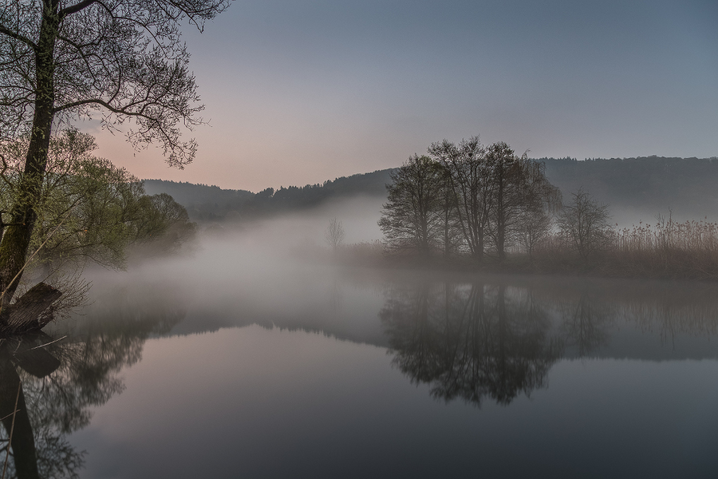 Nebelschwaden in den Lahn Auen