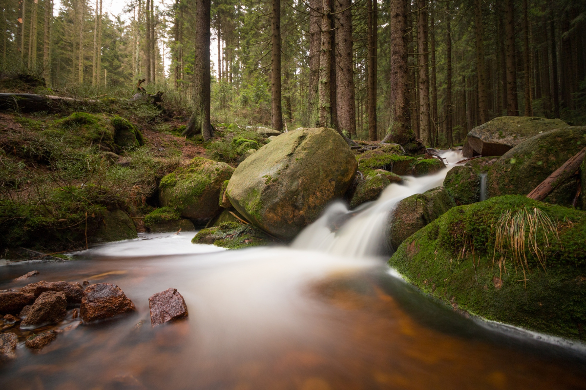 Wasserfall im Harz