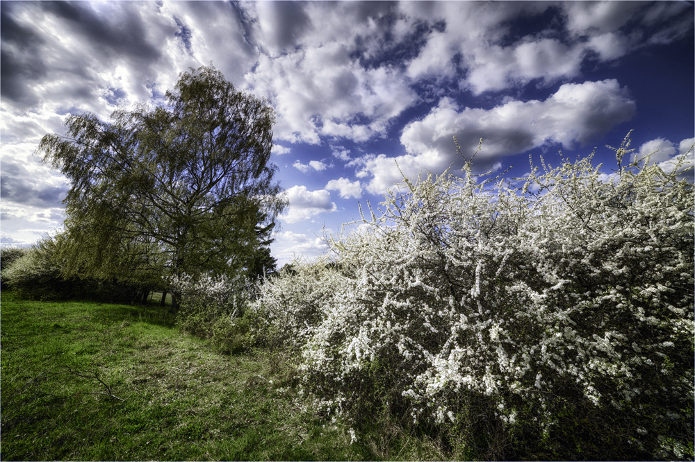 Frühling