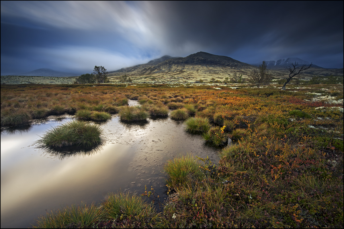 Rondane