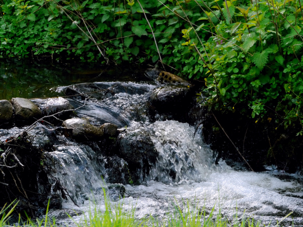 Mini - Wasserfall - joghurtfrei ;-( !