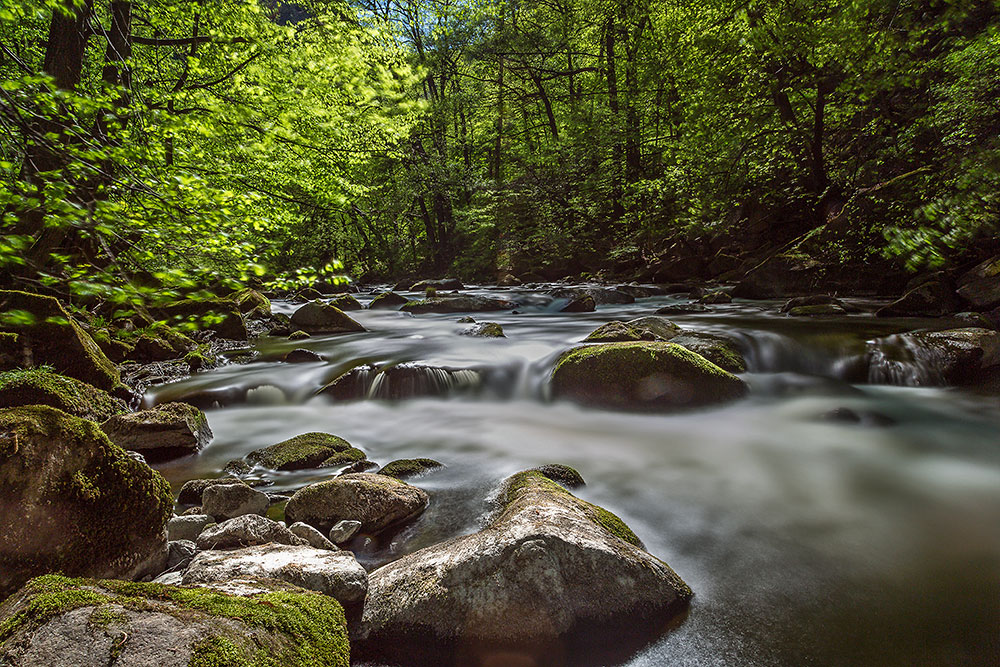 Die Bode (Forum für Naturfotografen)