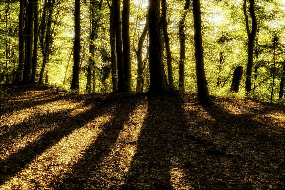 Ein sonniger Frühlingsmorgen