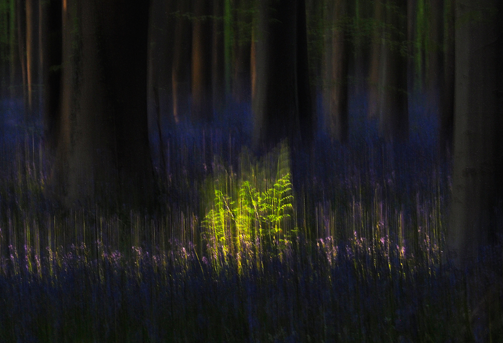Spotlight