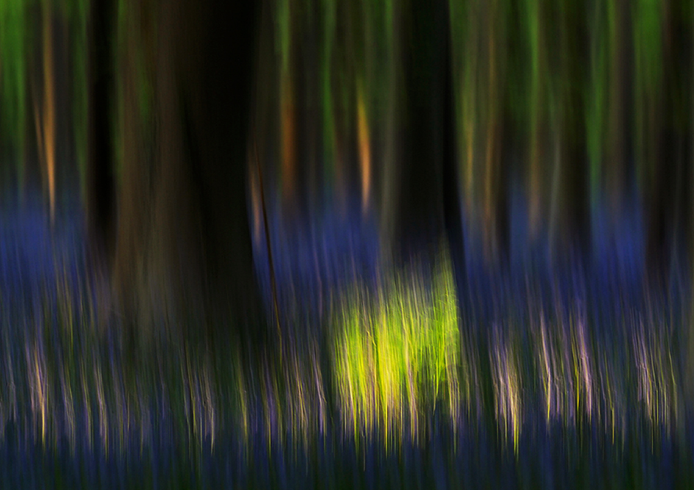 Spotlight 2 (Forum für Naturfotografen)