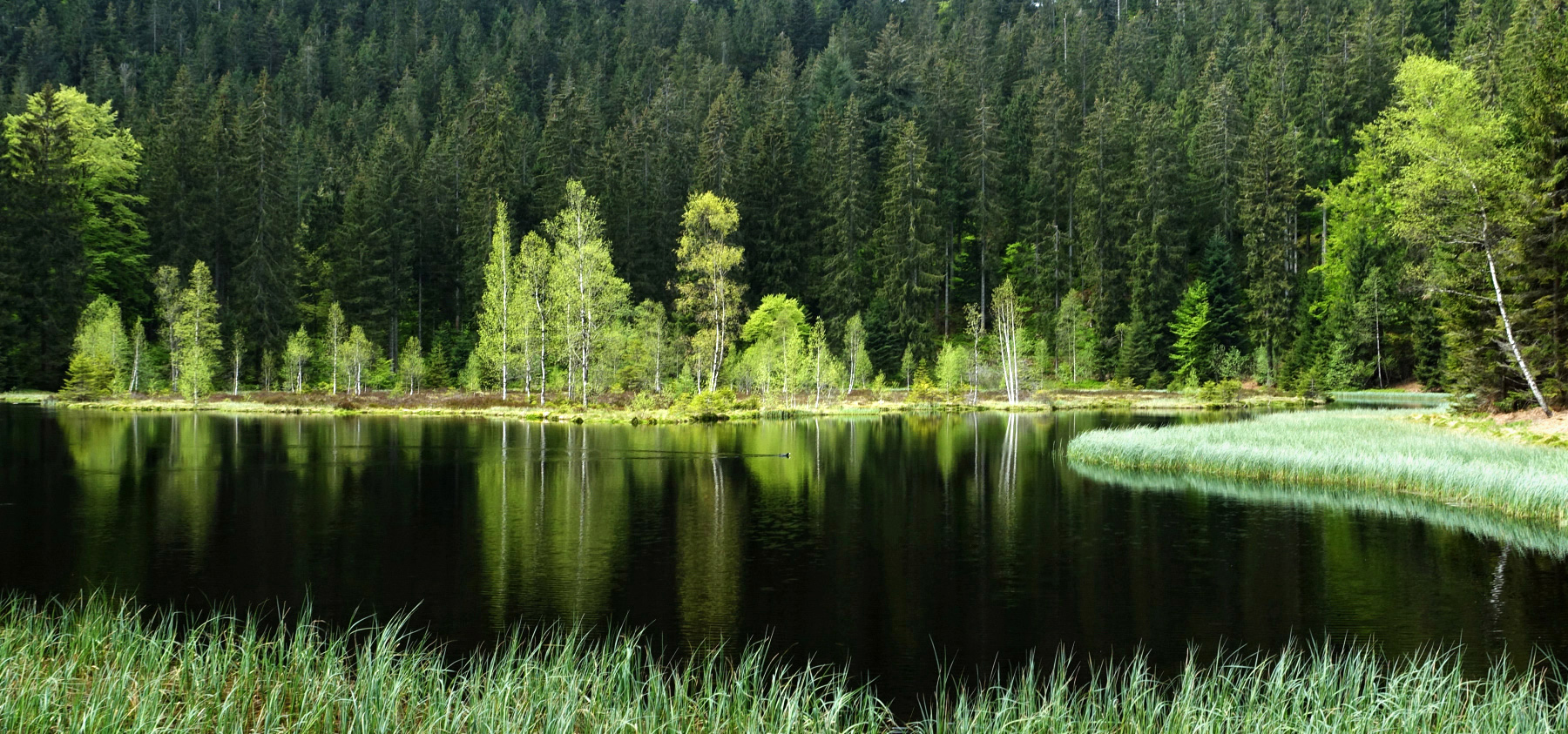 Karsee im Schwarzwald