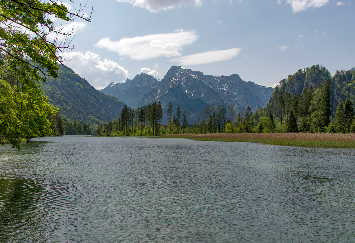 Der Almsee im Mai