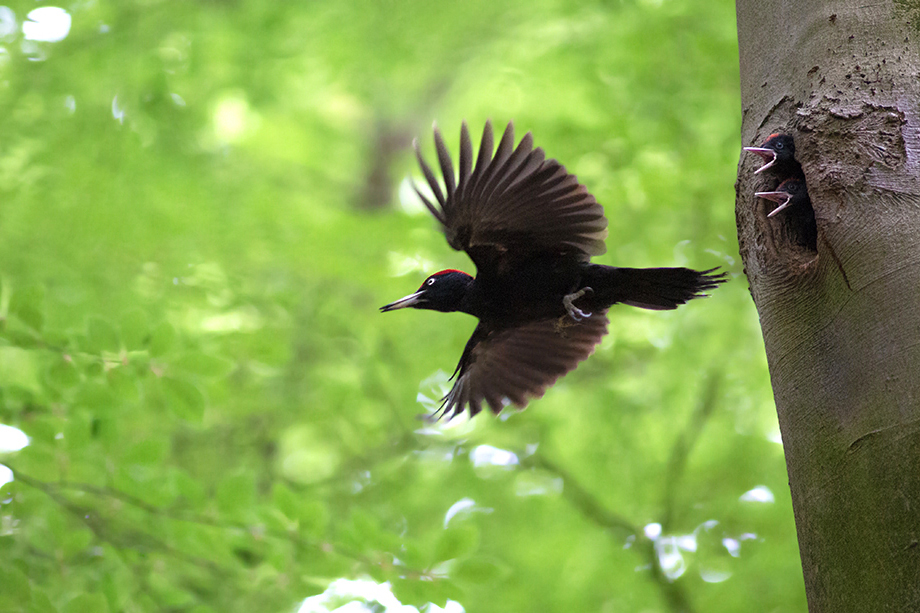 noch ein Abflug