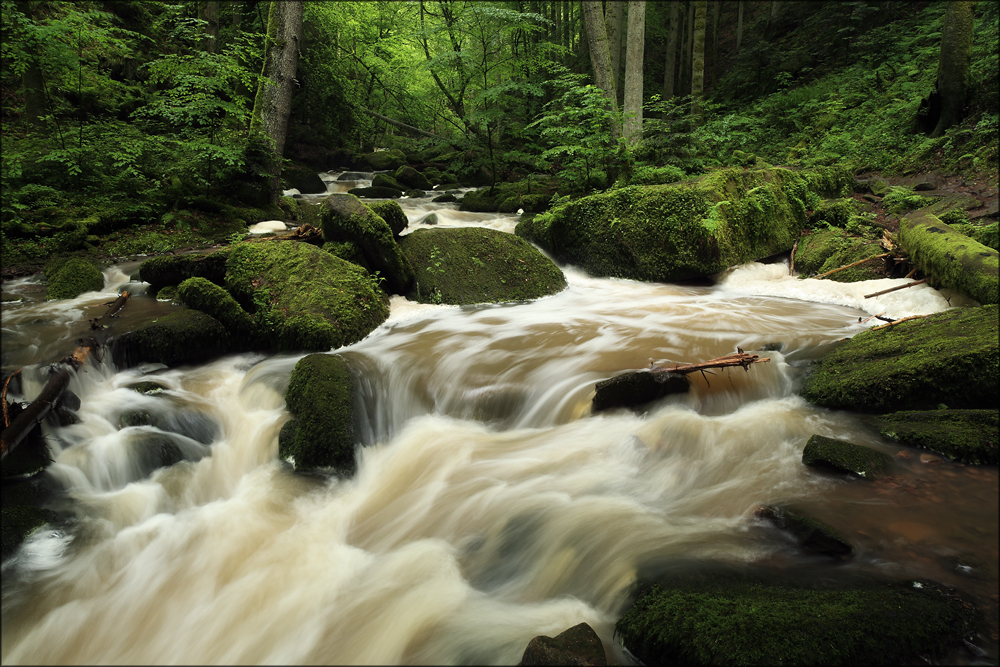 Land unter im Schwarzwald