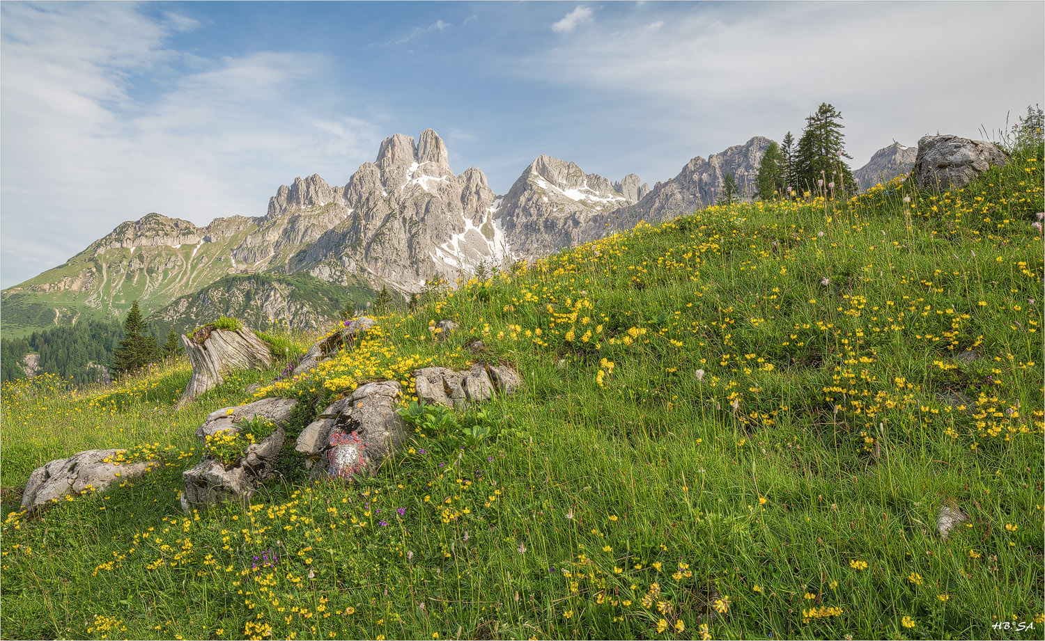 Blumenwiese mit Blick auf die Bischofsmütze