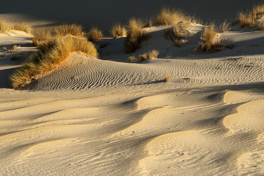 Spuren im Sand