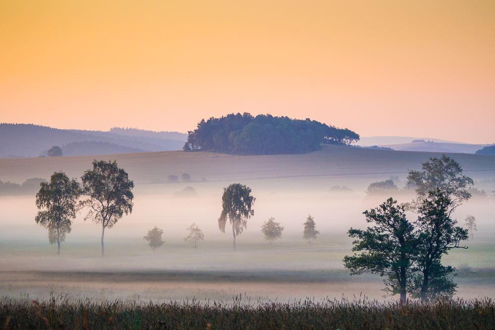 Sommermorgen