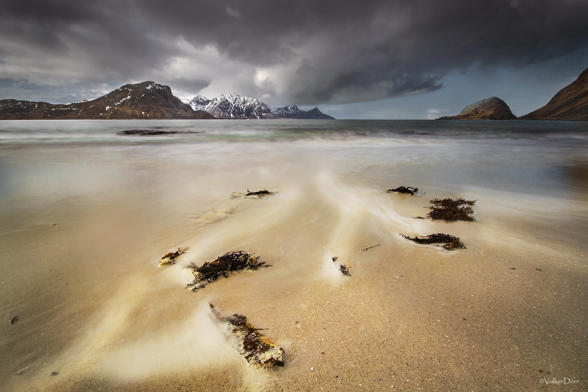 Arctic Tranquillity