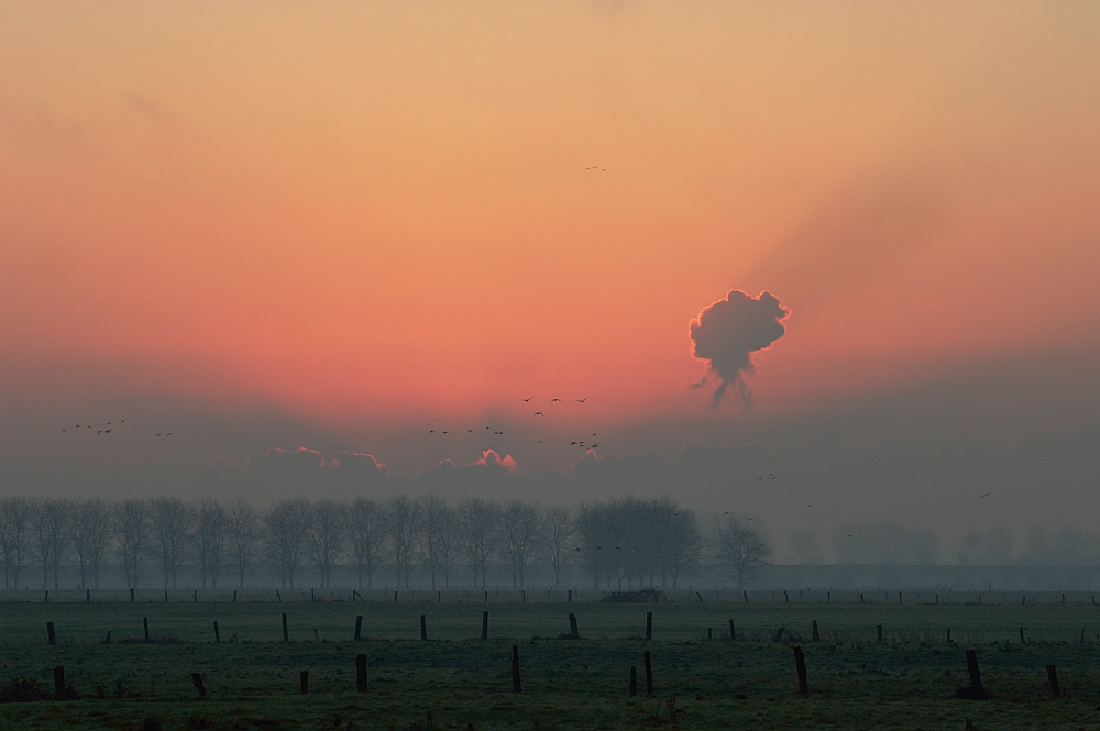 Bislicher Sonnenaufgang