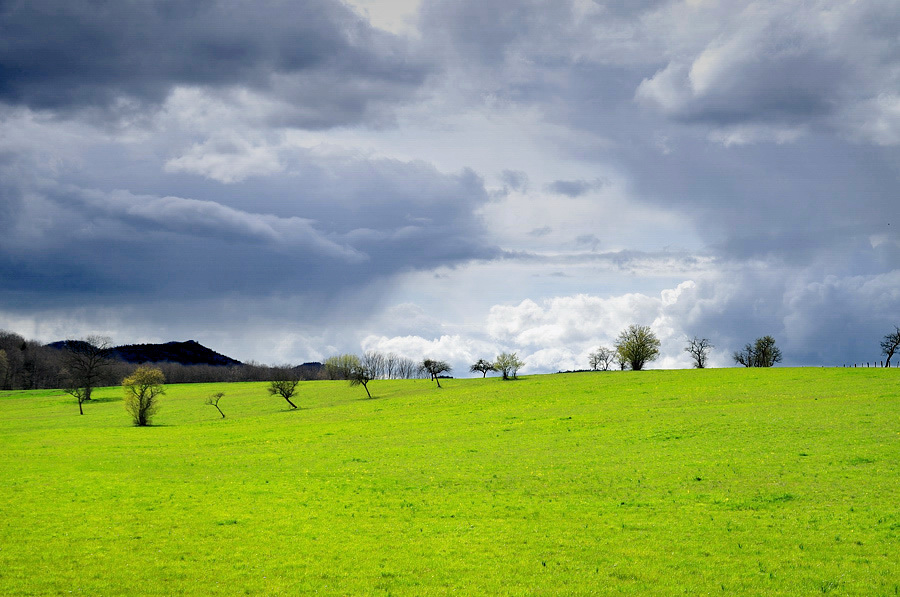 April Sonntag im Elsass