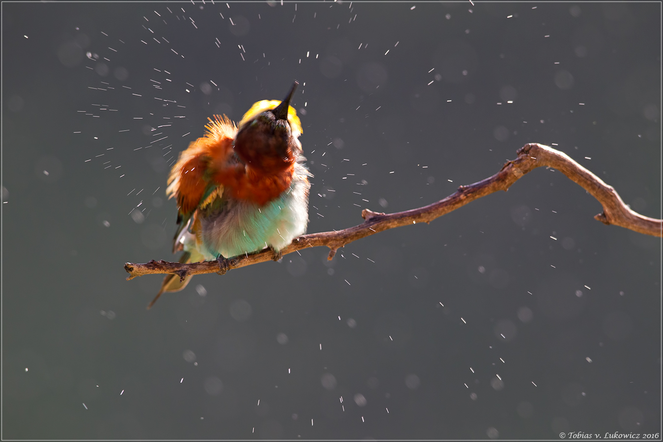 Schlechtes Wetter