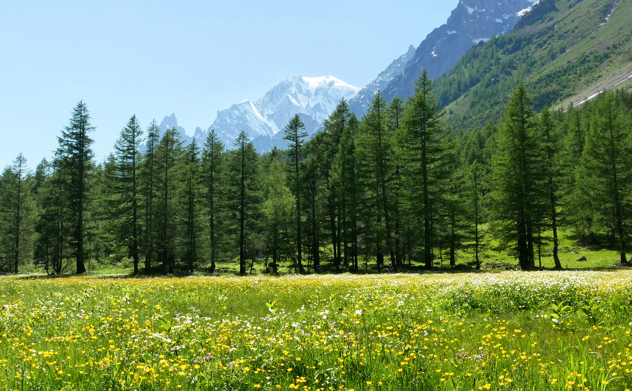 Postkarte aus dem Val Ferret