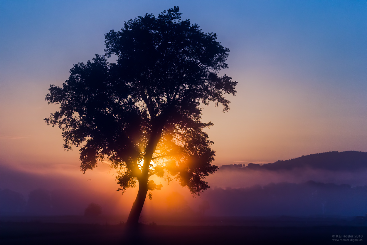 Spätsommer (Forum für Naturfotografen)