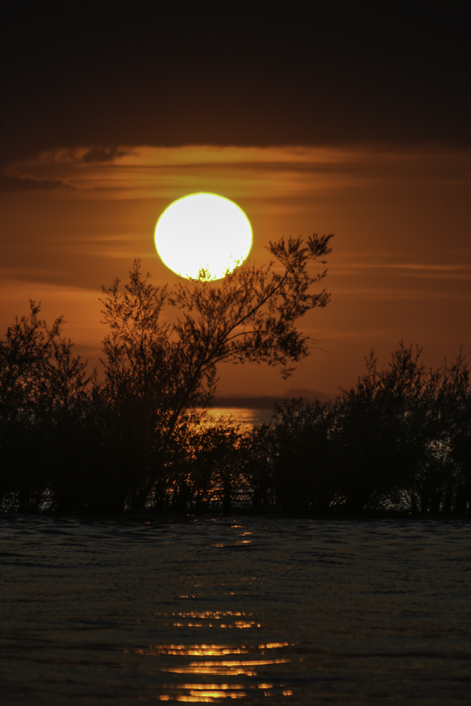 Sonnenuntergang am Bodensee