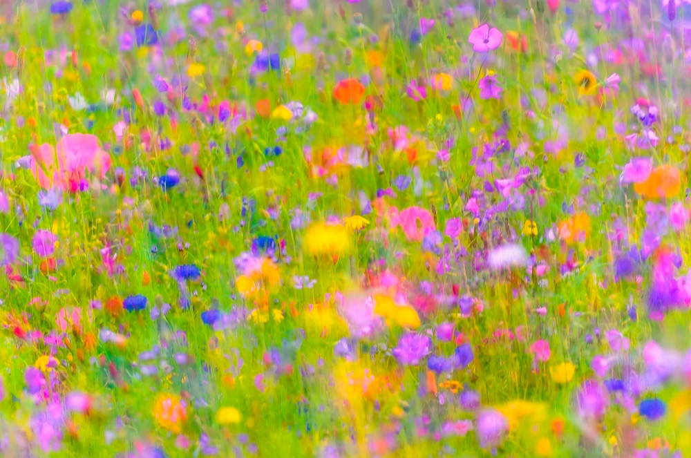 Sommerfarben ...