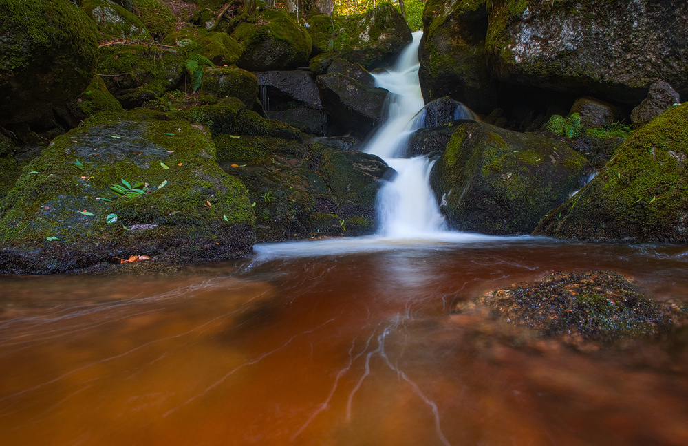 Ysperklamm,