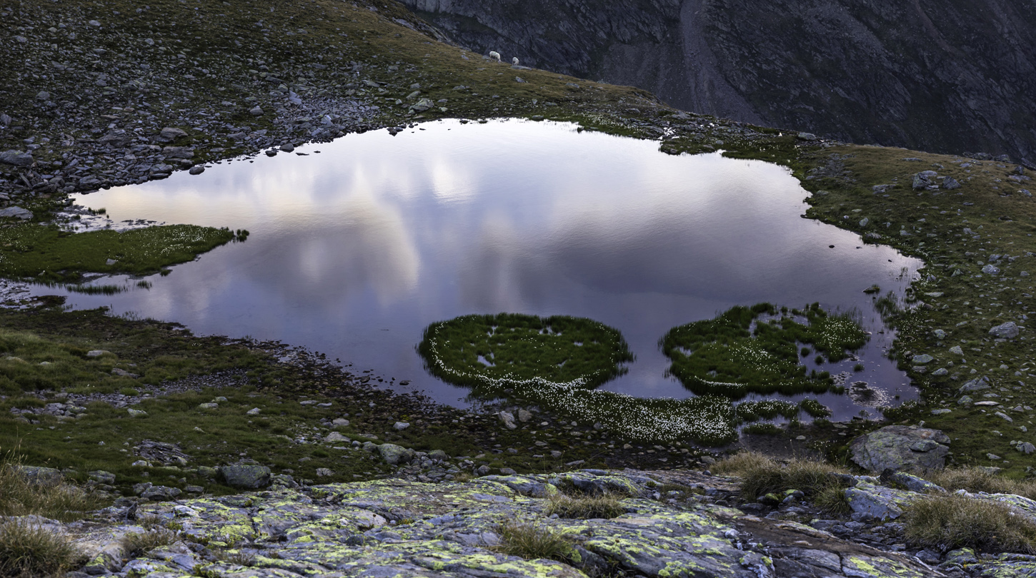 Der Bergsee mit der Wollgrasinsel