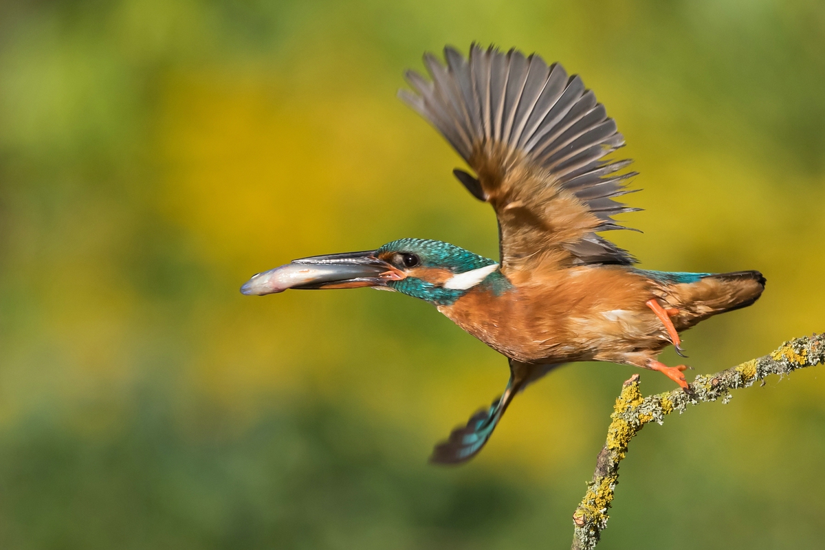 Abflug...