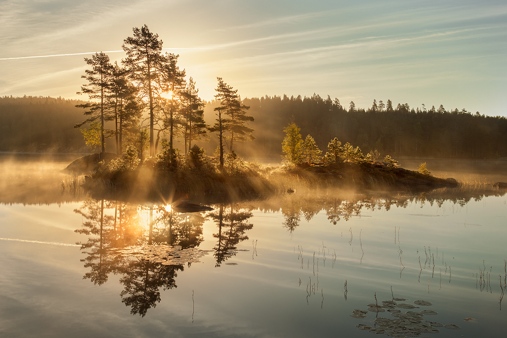 Schwedischer Sommermorgen