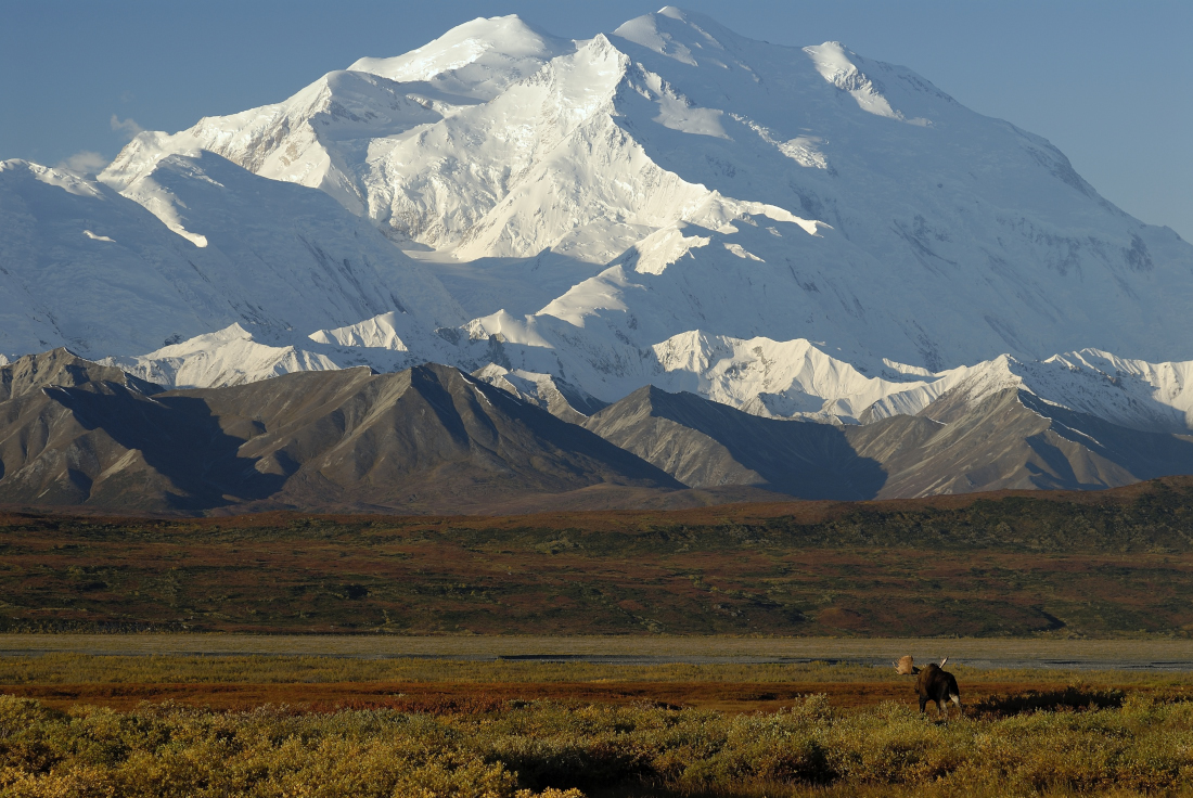 Herbst Im Denali Nationalpark