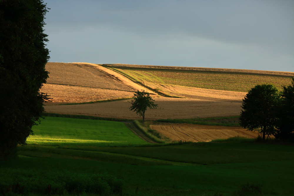 Sonnenaufgang: Licht und Schatten