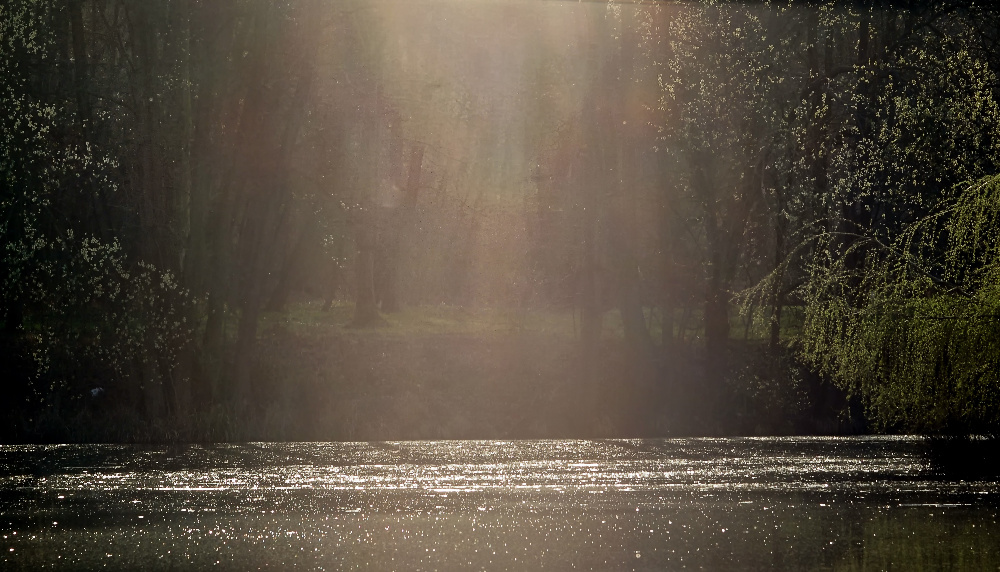 Abends am Weiher