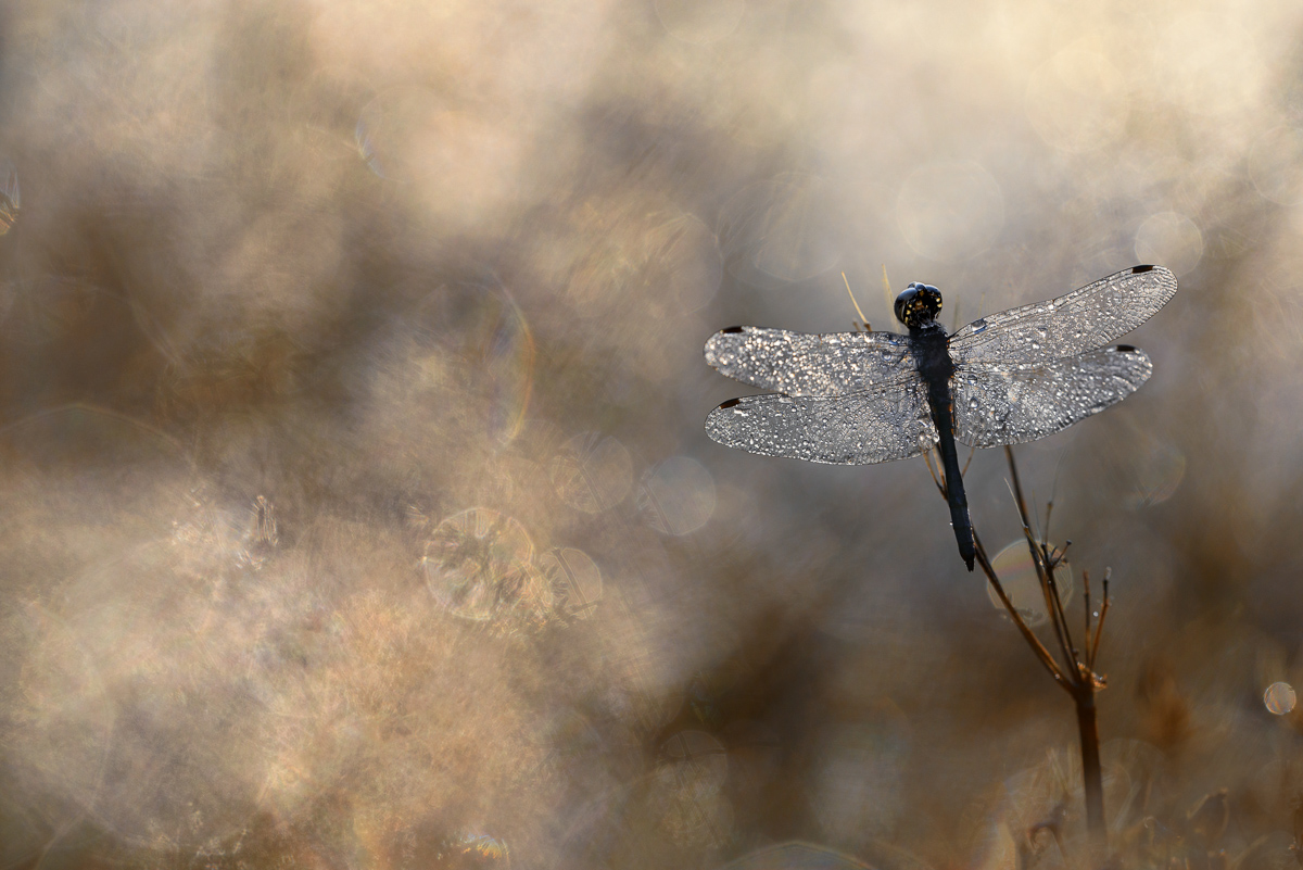 Es wird Herbst