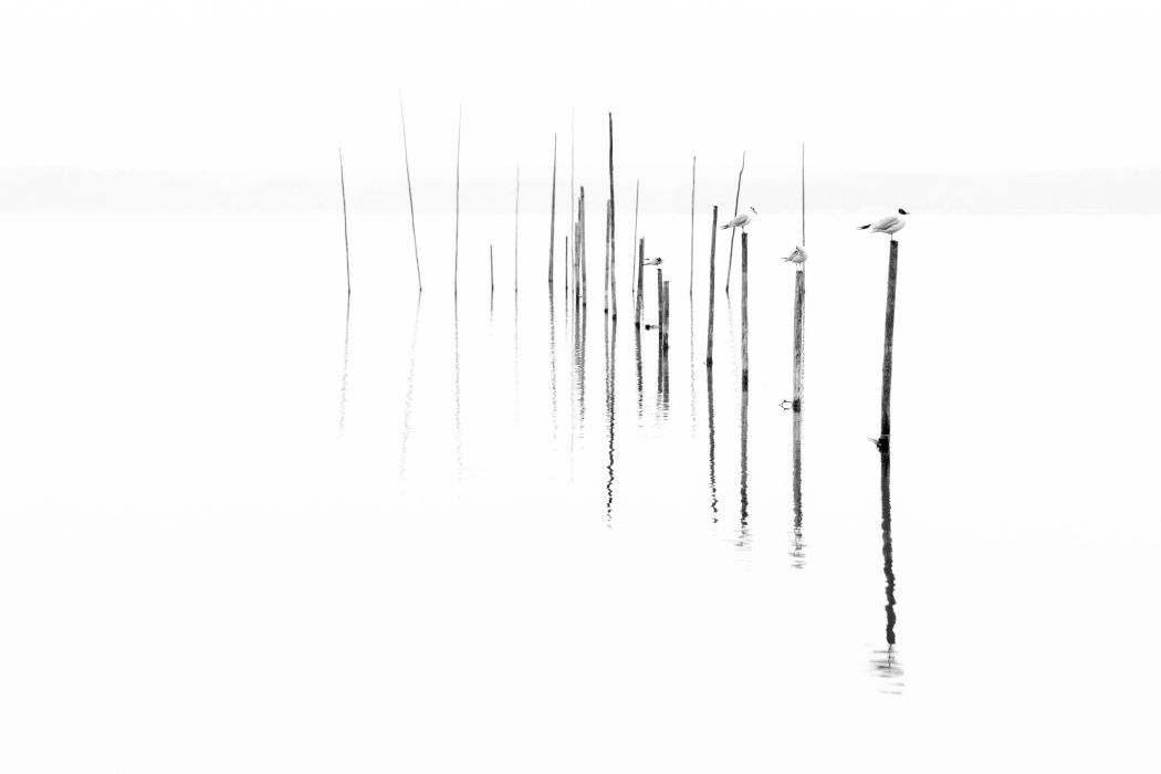 Die Stille