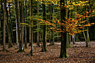 Herbstbeginn
